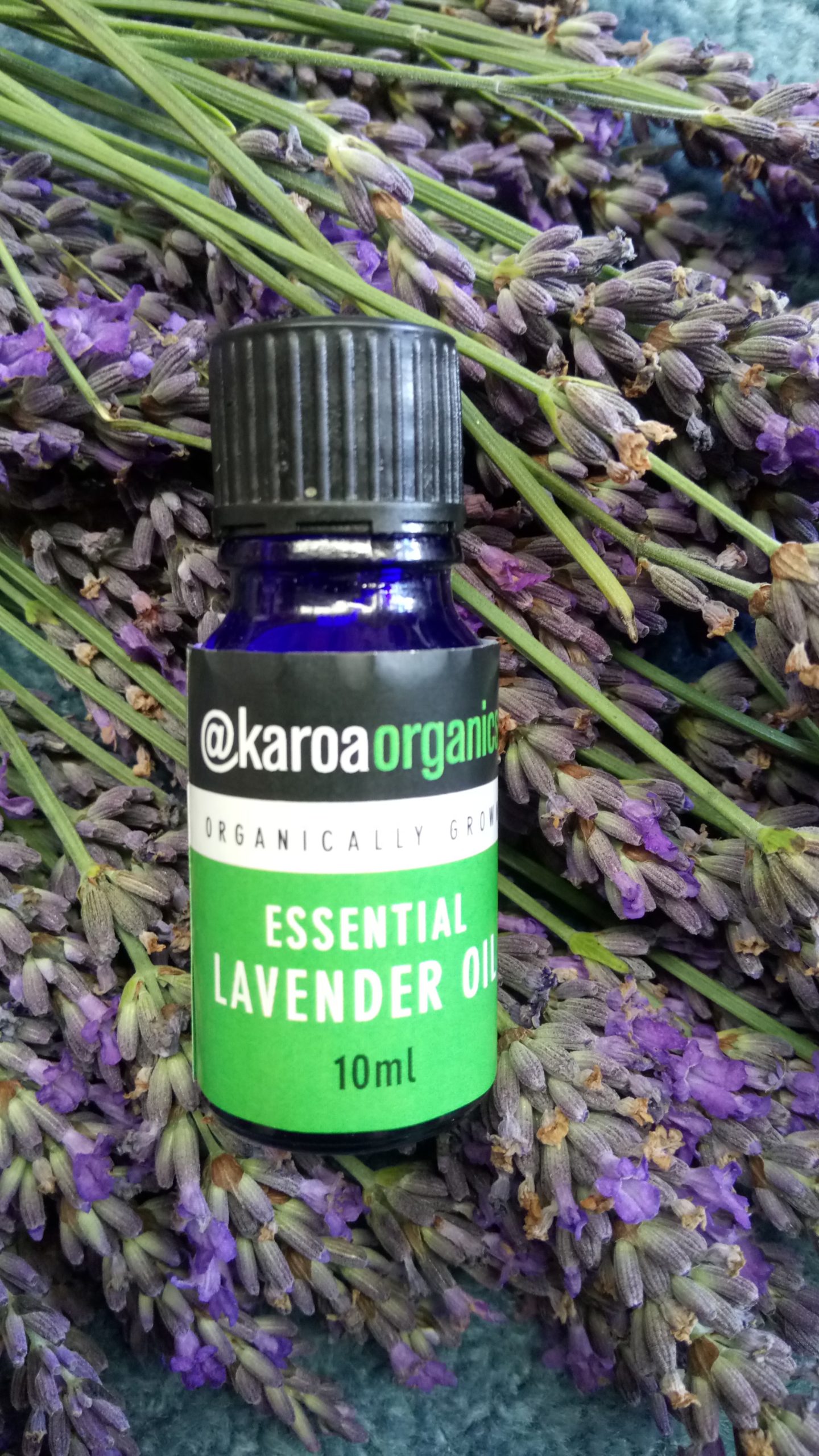 A fantastic all round oil. Organically grown, pure essential Grosso lavender oil .

Contains: 100% organically grown essential Grosso  lavender oil

Method of distillation: steam

Aroma: strong

Year of production: 2013 onwards

Other quantities of oil available on request.

Note: The information provided about our products are for general information only. Each individual will react differently to our individual products.
Our essential lavender oils should not be […] Read more…