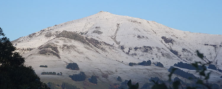 It’s been a really mild winter in Akaroa, the first snows only falling on the property in early August. It’s the in between time for seasons. […] Read more…